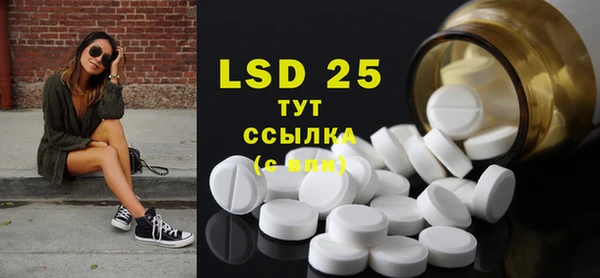 PSILOCYBIN Баксан