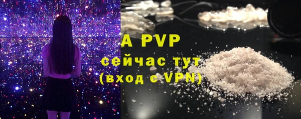 PSILOCYBIN Баксан