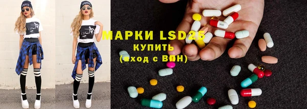 PSILOCYBIN Баксан