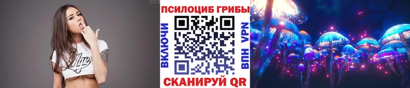 Купить где  Руза  Галлюциногенные грибы мухоморы 